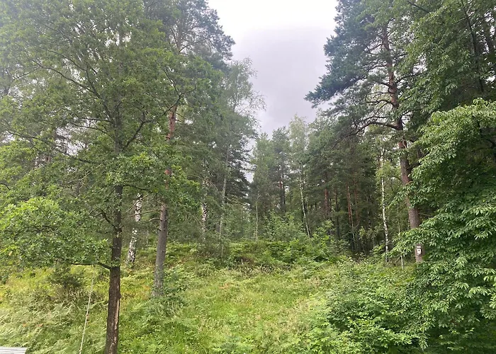 West - Near To Holmenkollen